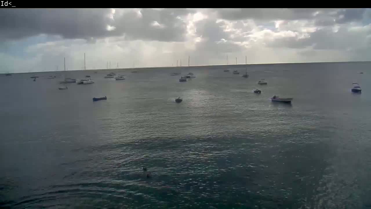 Numerous boats are scattered across a calm body of water under a mostly cloudy sky.