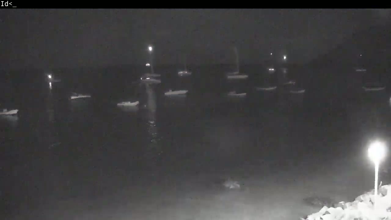 A nighttime view of numerous boats moored in calm water under a dark sky.