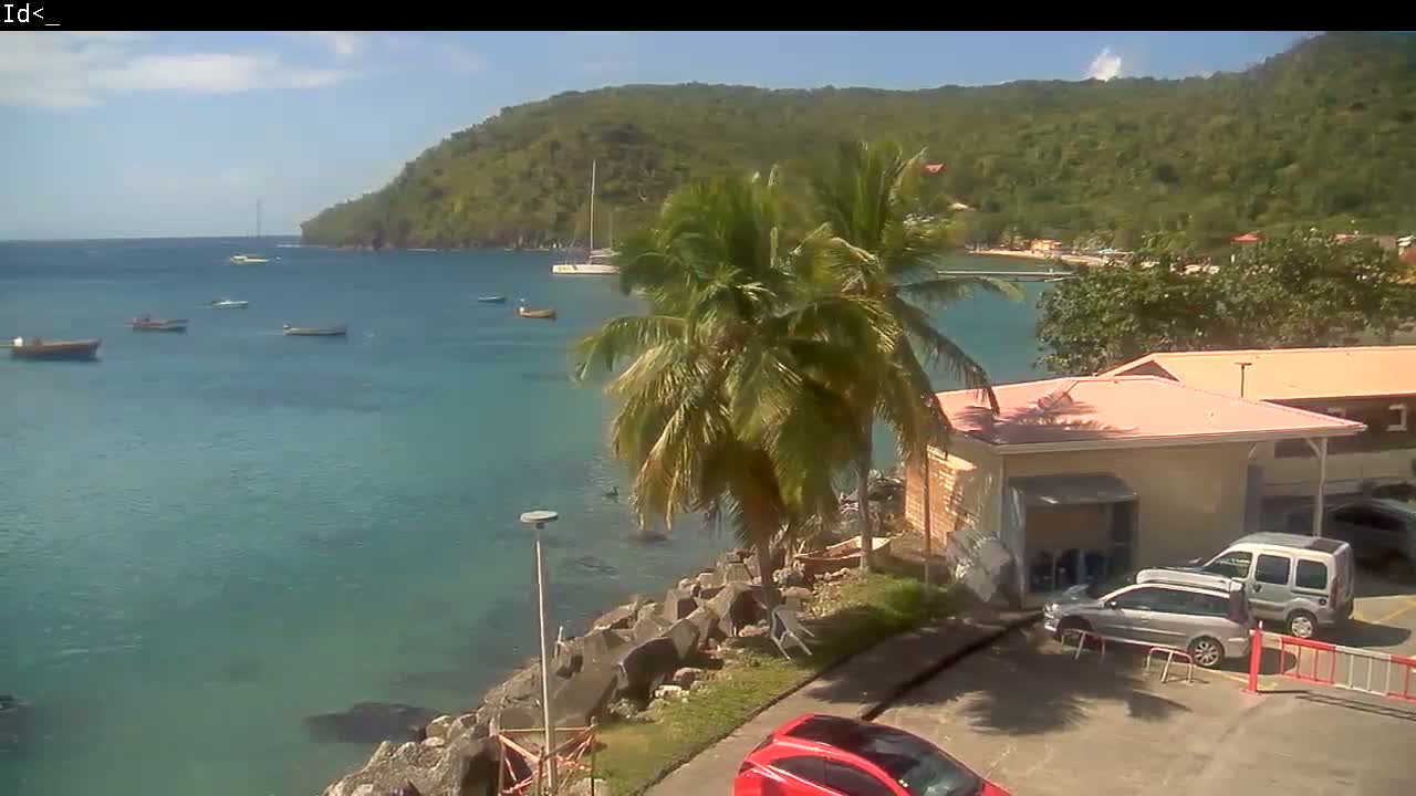 A calm, turquoise bay with several small boats is seen from a hillside, overlooking a palm tree, a building, and parked cars under a sunny sky.
