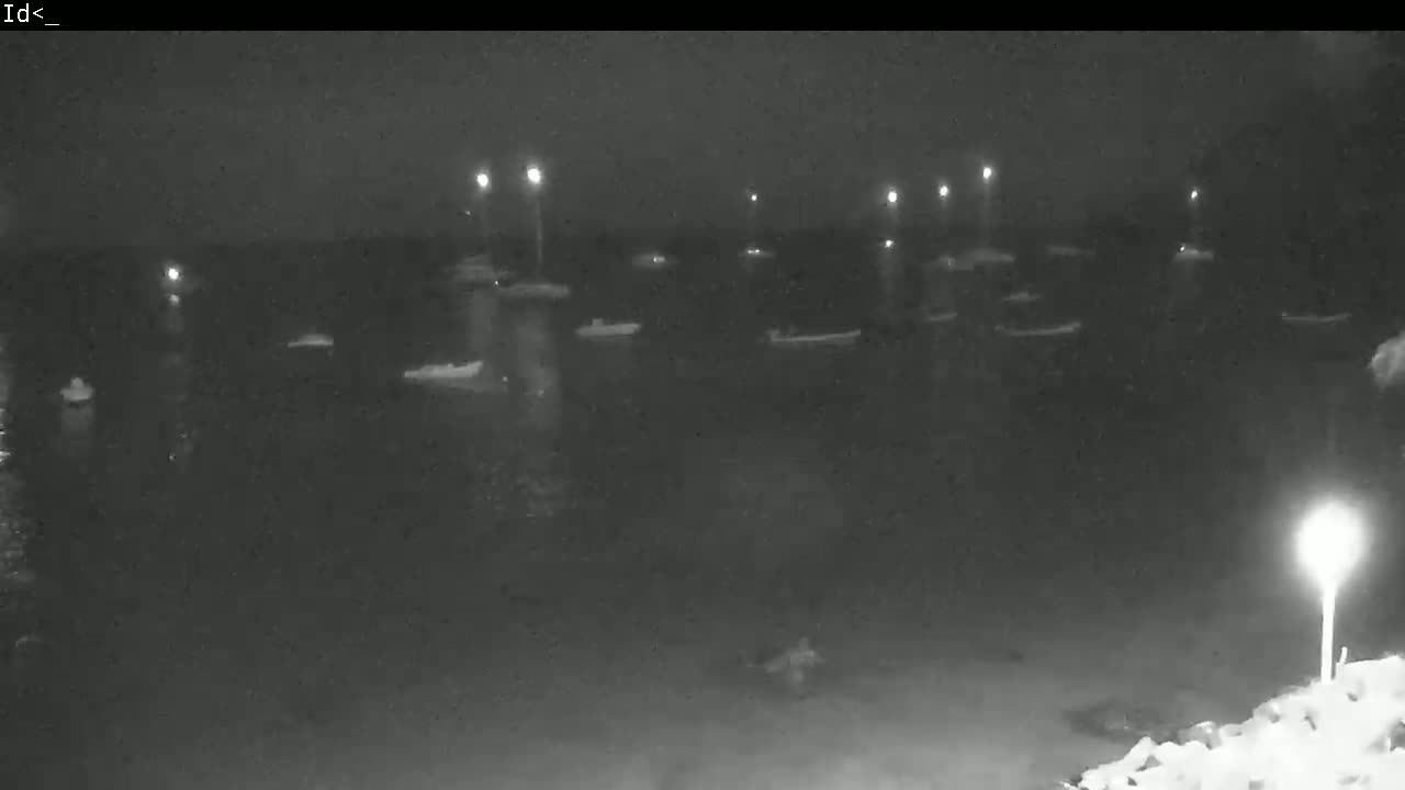 A nighttime, low-light view of numerous boats moored in calm water, illuminated by several lights along the shore.