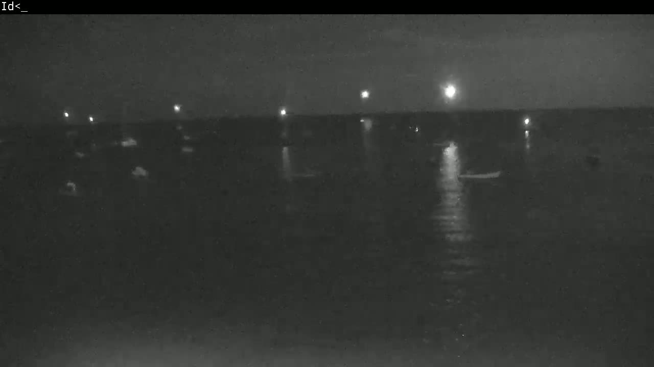 A nighttime, dark grayscale image shows a body of water with several small lights along the horizon and a few small boats on the water under a mostly clear sky.