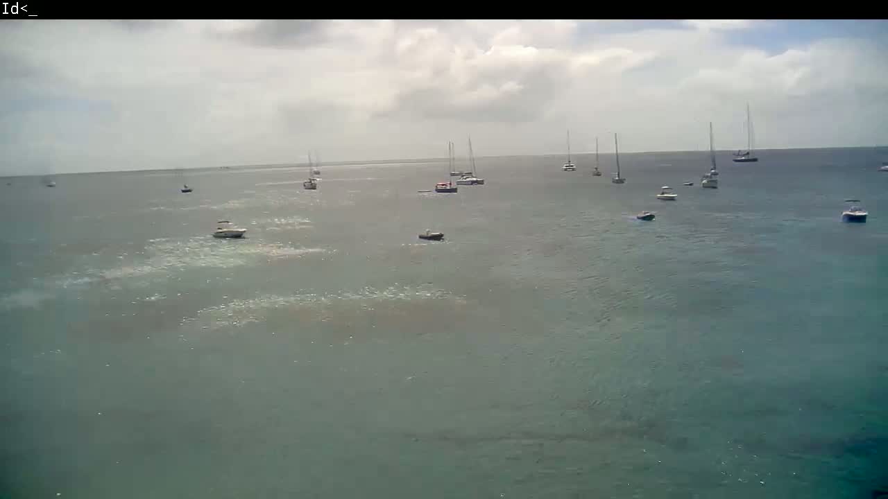 Several sailboats and motorboats are anchored in a calm body of water under a partly cloudy sky.