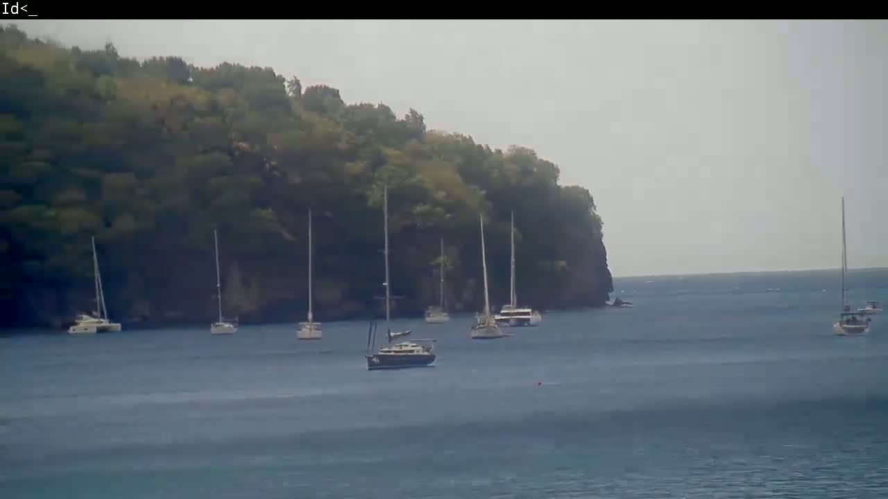 Several sailboats are anchored in calm, hazy water near a verdant, rocky shoreline.