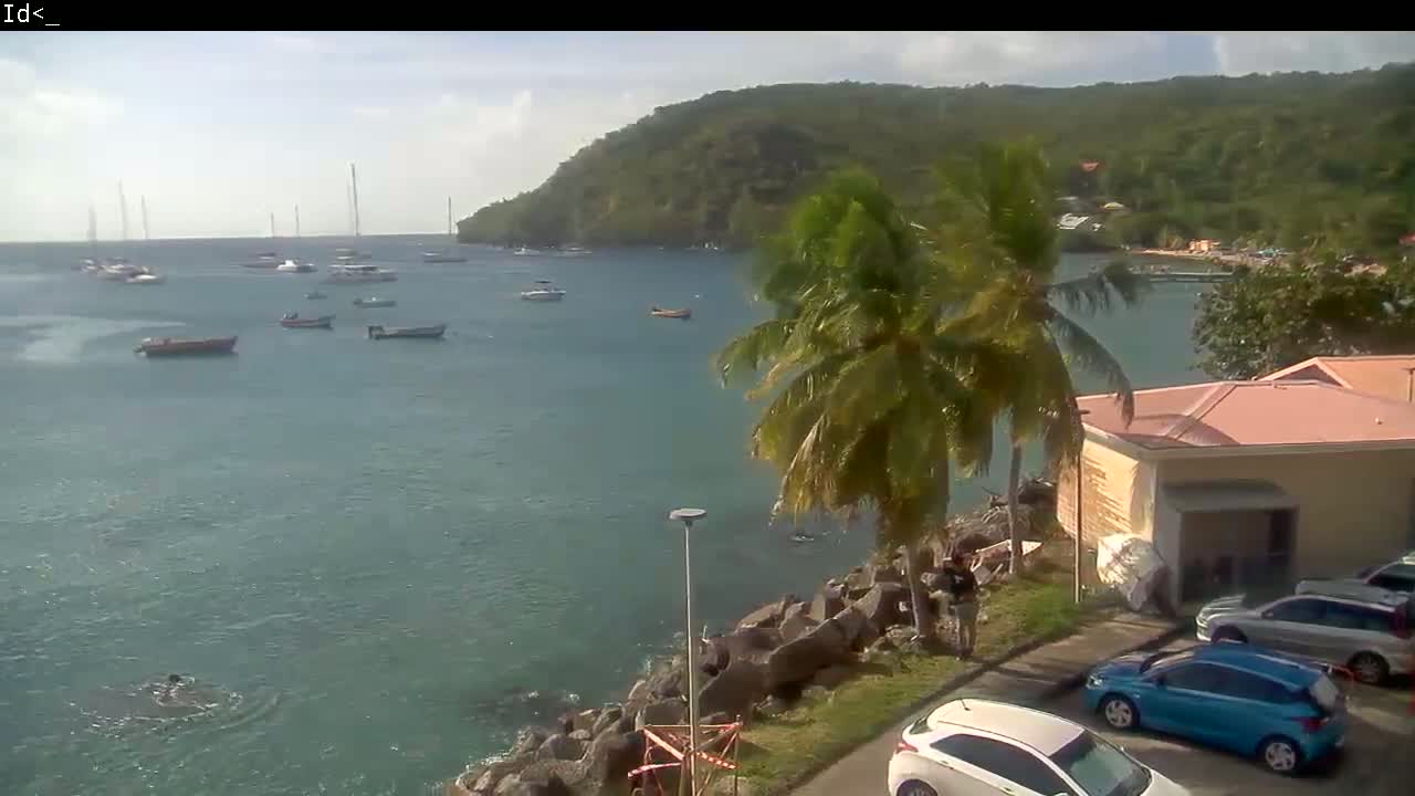 A calm, sunny day reveals a bay filled with sailboats and small motorboats, overlooked by a palm tree-lined shore with parked cars near a building.