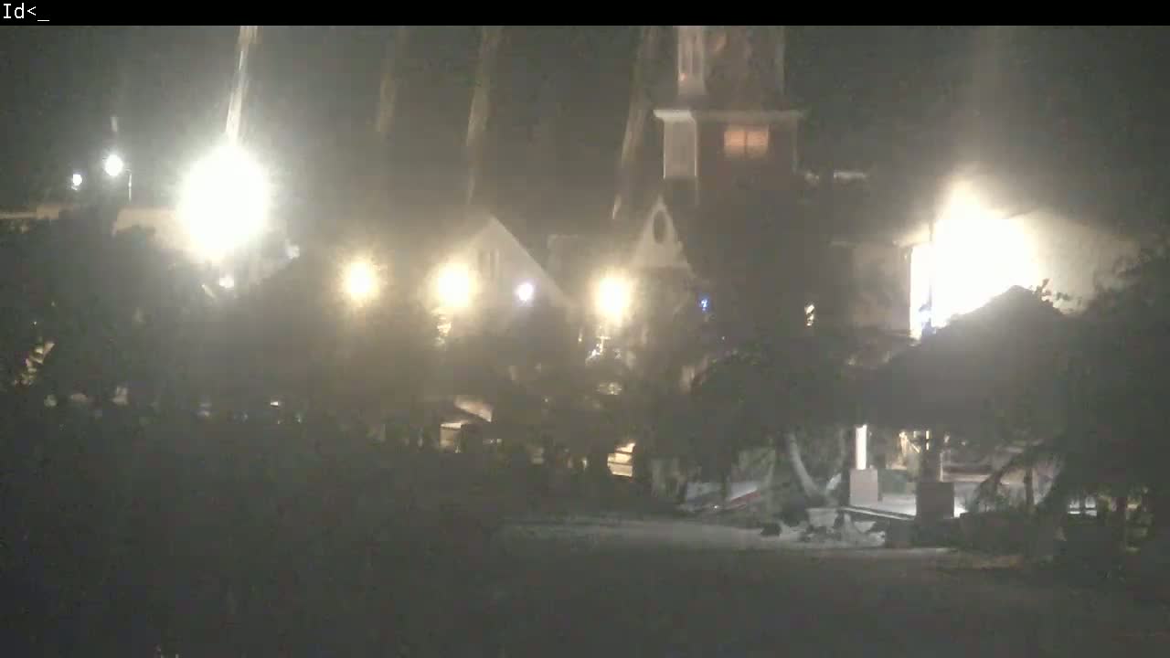 A nighttime scene shows several illuminated buildings partially obscured by trees and hazy atmospheric conditions.