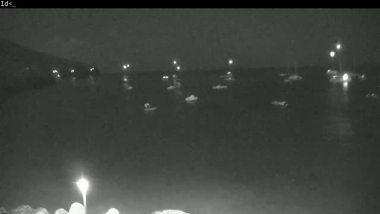At night, several boats are moored in a dark body of water under a clear sky, illuminated by faint lights on shore and on some of the vessels.