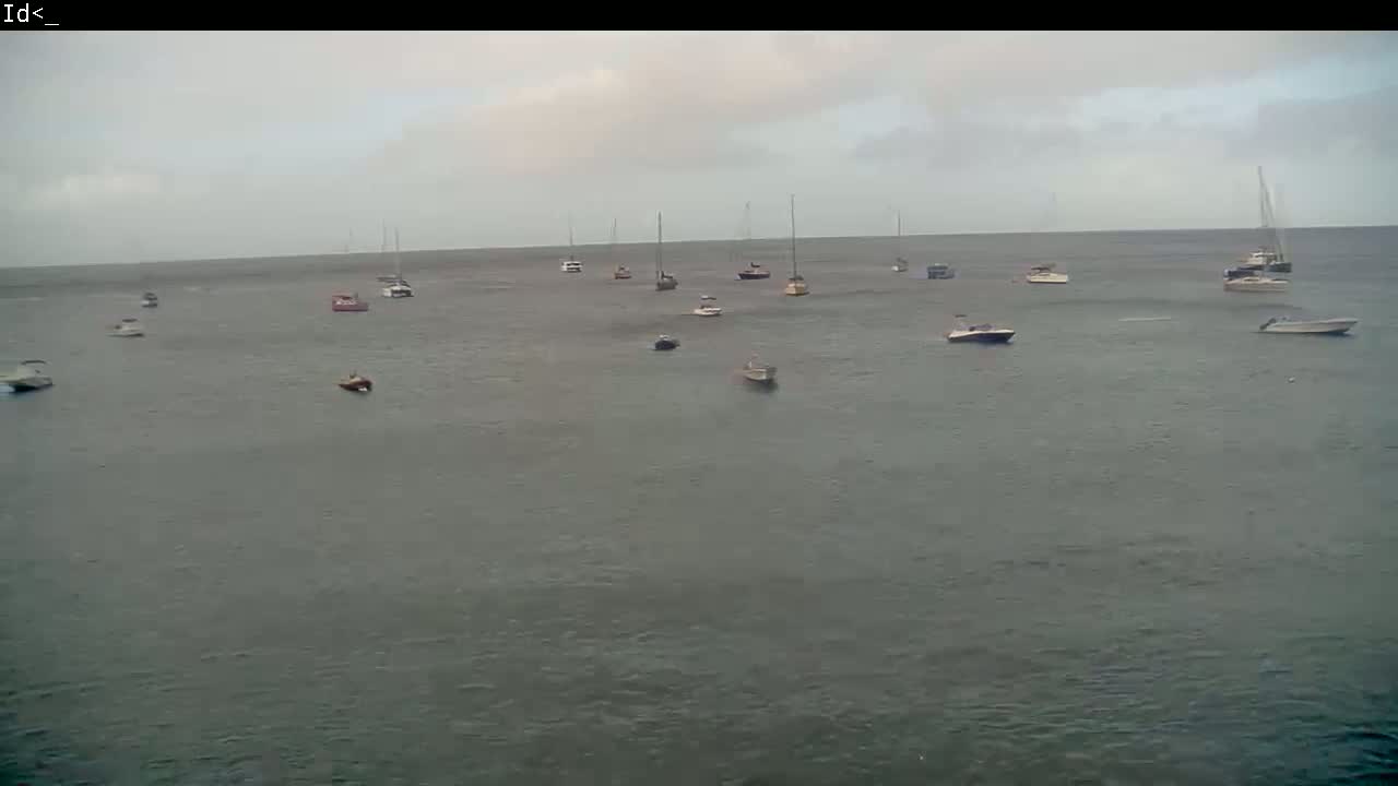 Numerous boats and sailboats are anchored in calm, gray water under an overcast sky.