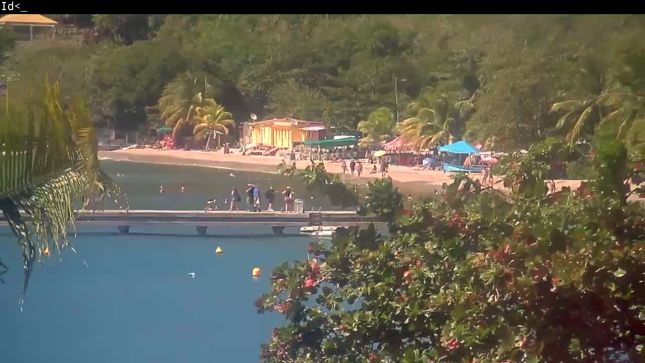 A sandy beach with people on it is partially visible behind lush tropical foliage, and a dock extends out over calm blue water.