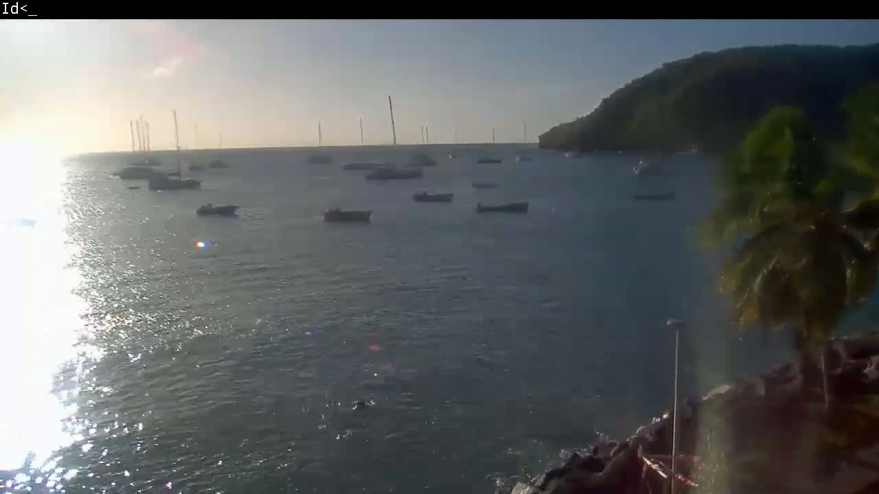 Several boats are anchored in calm, sunlit water near a lush, green hillside.