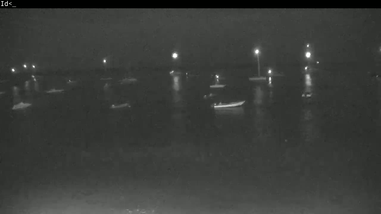Several boats are moored in dark water at night under dim lighting.