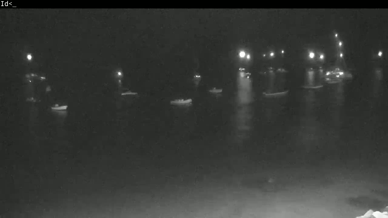 Several small boats are moored in a dark body of water at night, illuminated by distant lights.