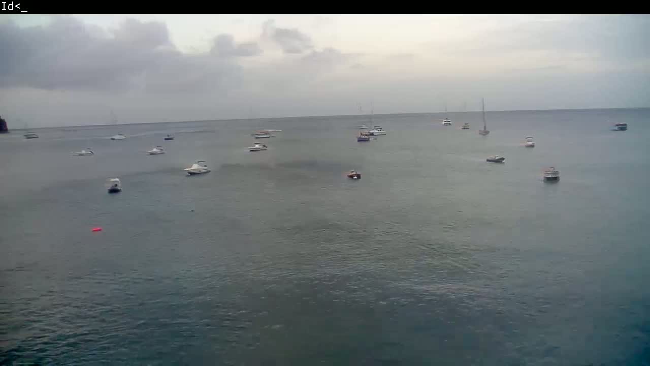 Several boats and sailboats are scattered across a calm, gray body of water under a cloudy sky.