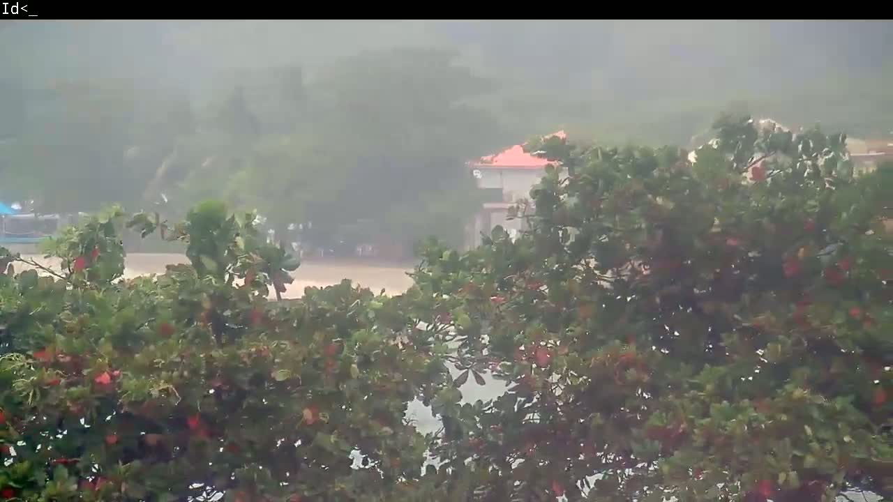 A rain-swept view shows a building and people partially obscured by lush green vegetation in heavy rain.