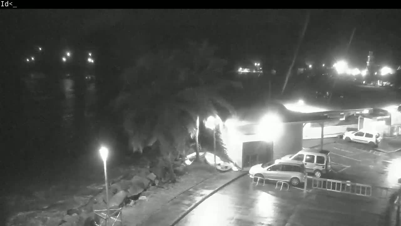 At night, under a dark, rainy sky, palm trees are swaying in the wind near a building with several cars parked in a lot.