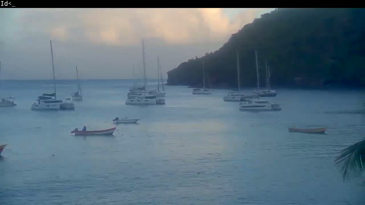 Several sailboats and small motorboats are moored in a calm bay near a dark, forested hillside under a cloudy, pale sky.