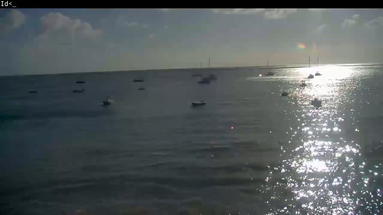 Several small boats are scattered across a calm body of water under a partly sunny sky.