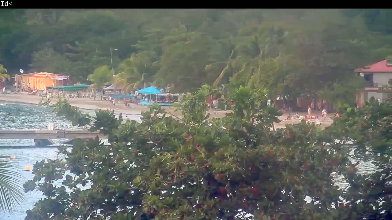 A view through lush green foliage shows a beach scene with people relaxing on the sand, several small buildings, and a calm body of water.