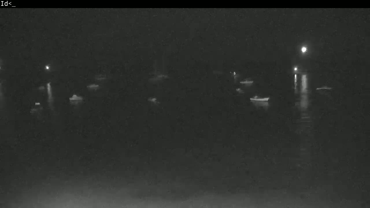 Several boats are moored in dark, calm water at night under dim lighting.