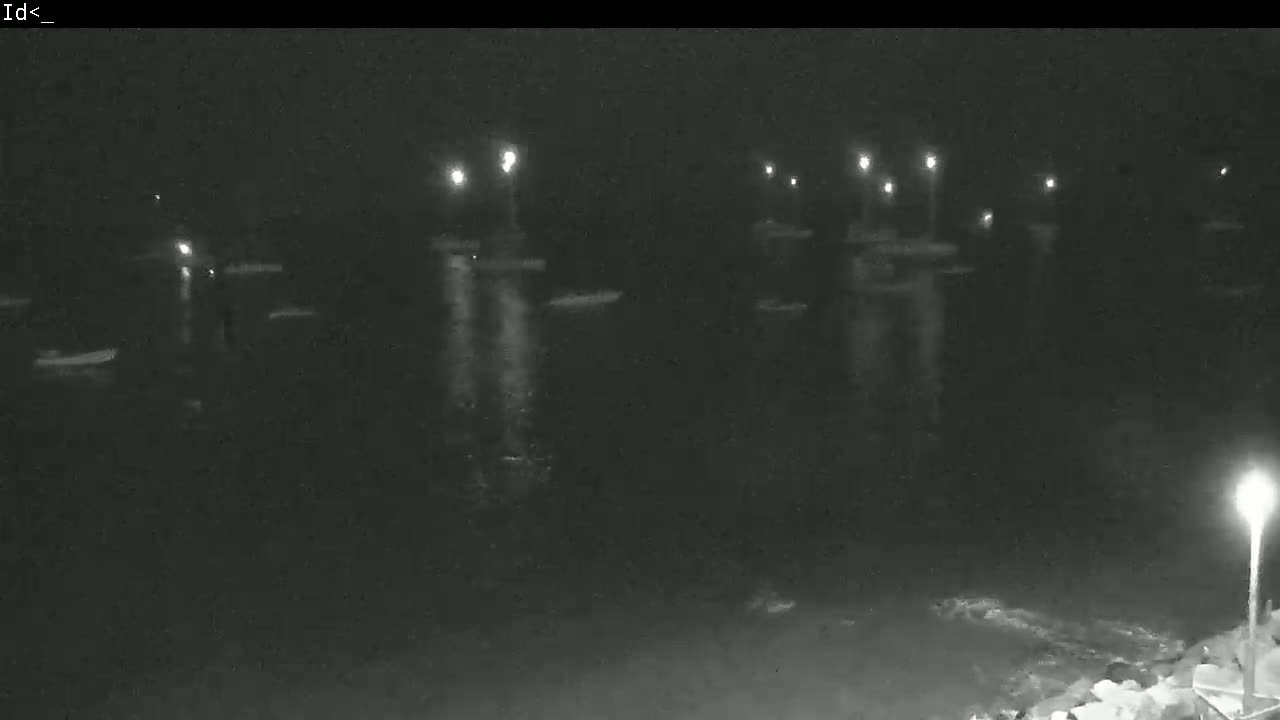 A nighttime, low-light view of numerous small boats moored in calm water, illuminated by several lights on posts along the shoreline.