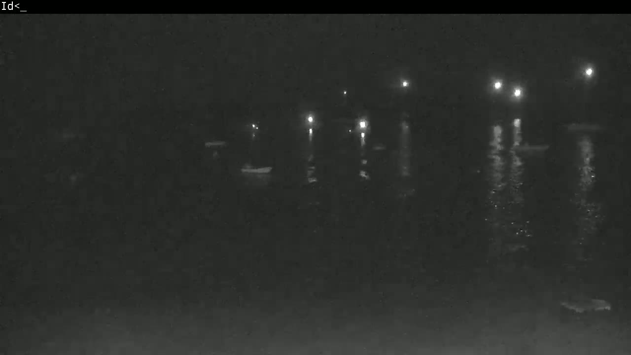 A dark nighttime scene shows indistinct shapes near a body of water reflecting several distant lights.