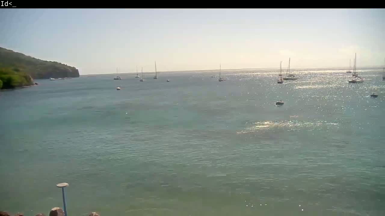 Several sailboats are anchored in a calm, sunny bay near a green, hilly shoreline.