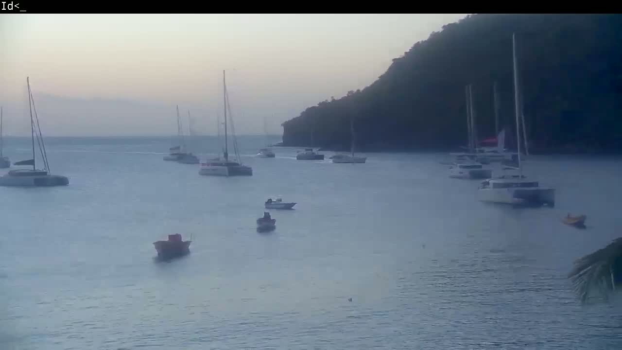 Several sailboats and small motorboats are moored in calm water near a dark, forested hillside under a hazy sky.