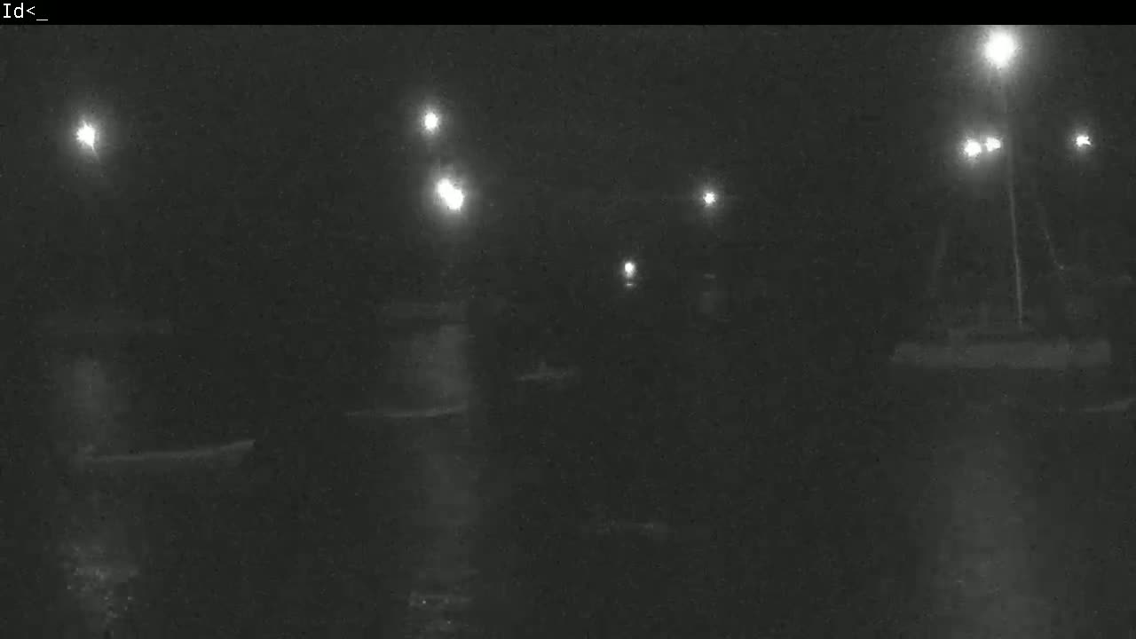 A nighttime, low-light view of a dark body of water with several lights illuminating the scene.