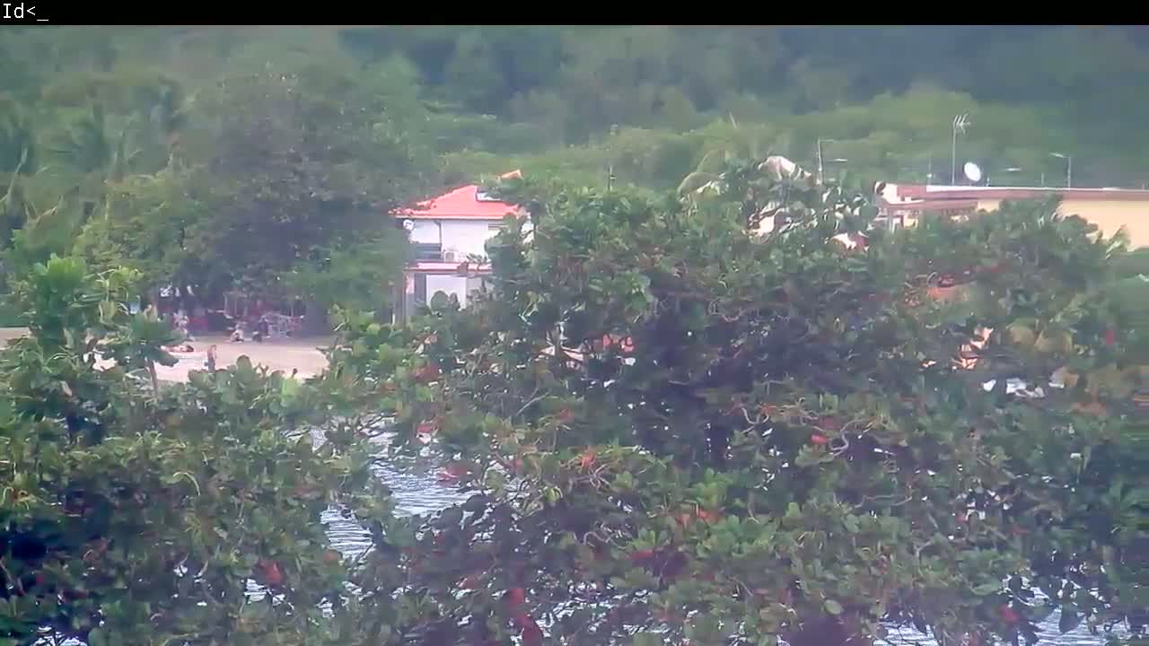 A partially obscured view of a beach with people, a house with a red roof, and buildings beyond, all seen through dense, leafy green trees on an overcast day.