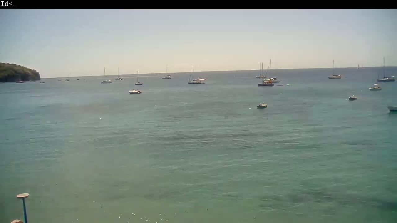 Several sailboats and motorboats are anchored in a calm, clear body of water near a small, green landmass on a sunny day.