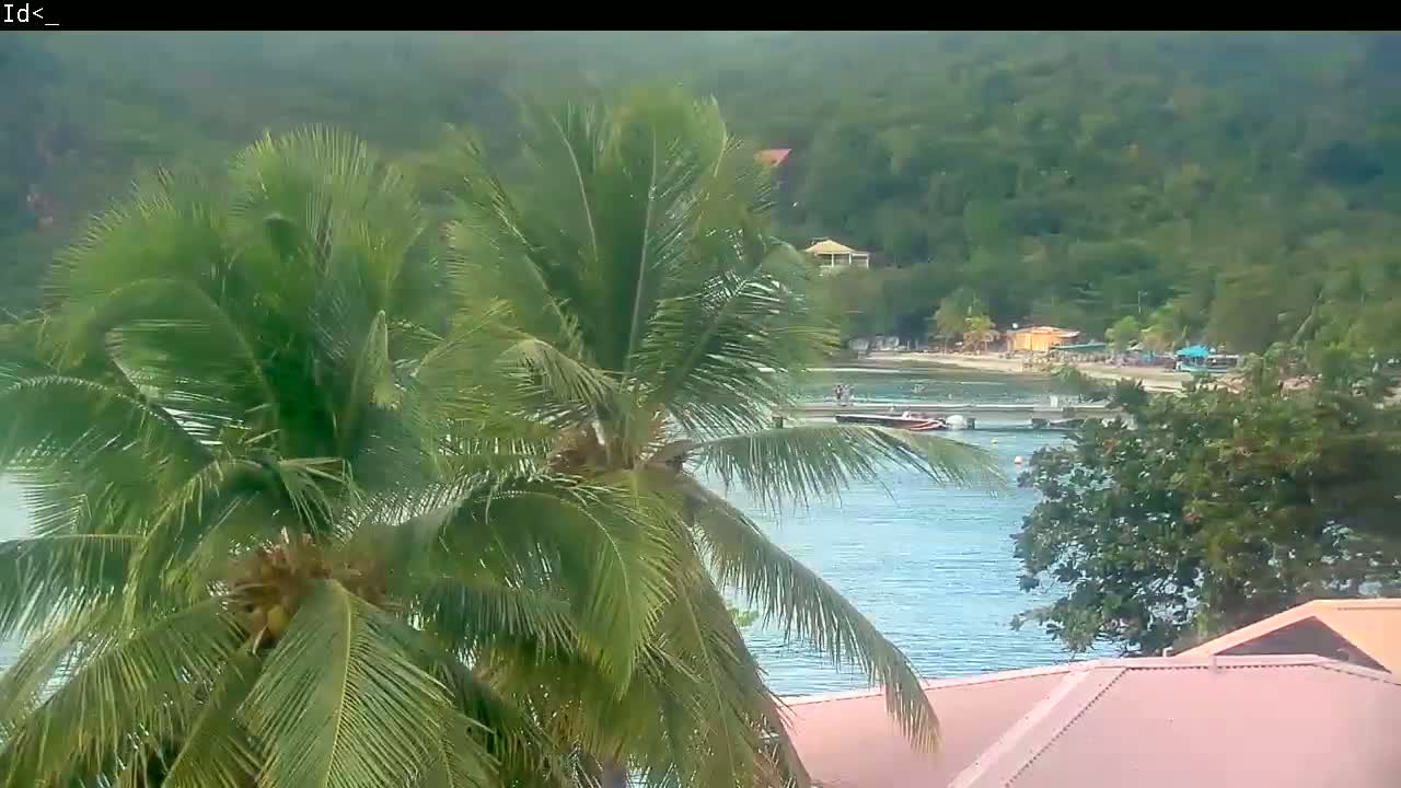 Overlooking a calm bay with boats near a beach and a lush green hillside, two palm trees are in the foreground under an overcast sky.