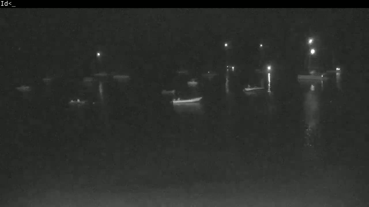 Several boats are moored in dark, calm water at night, illuminated by scattered lights.
