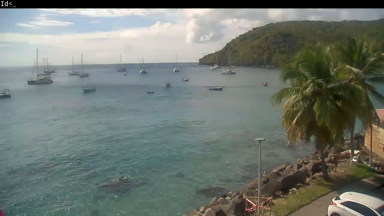 A calm, partly cloudy day shows a tranquil bay with numerous sailboats and motorboats anchored, a palm tree in the foreground, and a rocky shoreline.