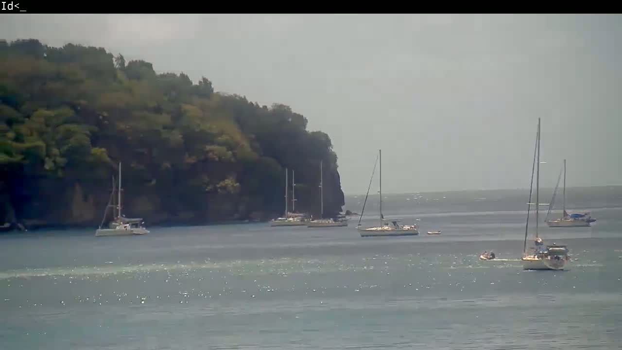 Several sailboats are anchored in calm, hazy waters near a verdant, rocky shoreline.