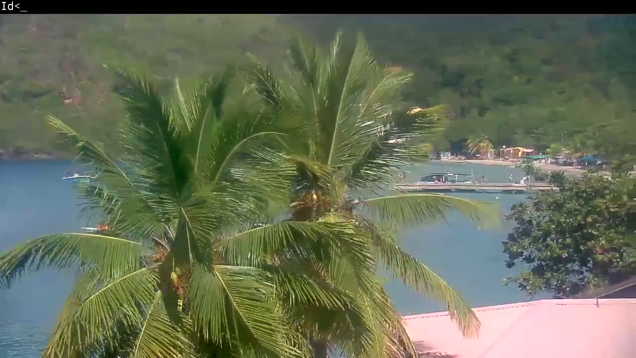 Two palm trees in the foreground partially obscure a view of a calm bay with boats and a beach, under a partly cloudy sky.
