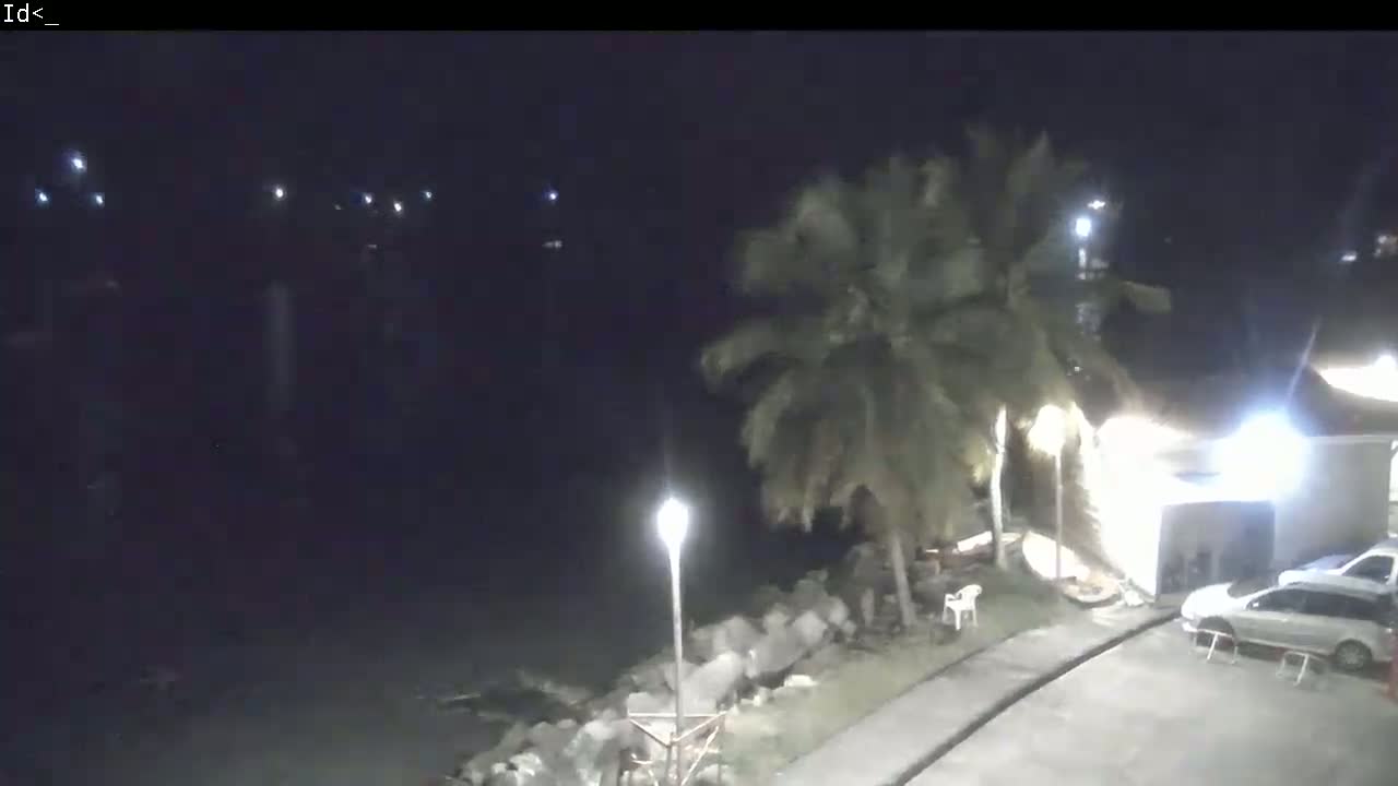 At night, a dark body of water is visible beyond a palm tree-lined shore where a few cars are parked near a building, illuminated by artificial lights.
