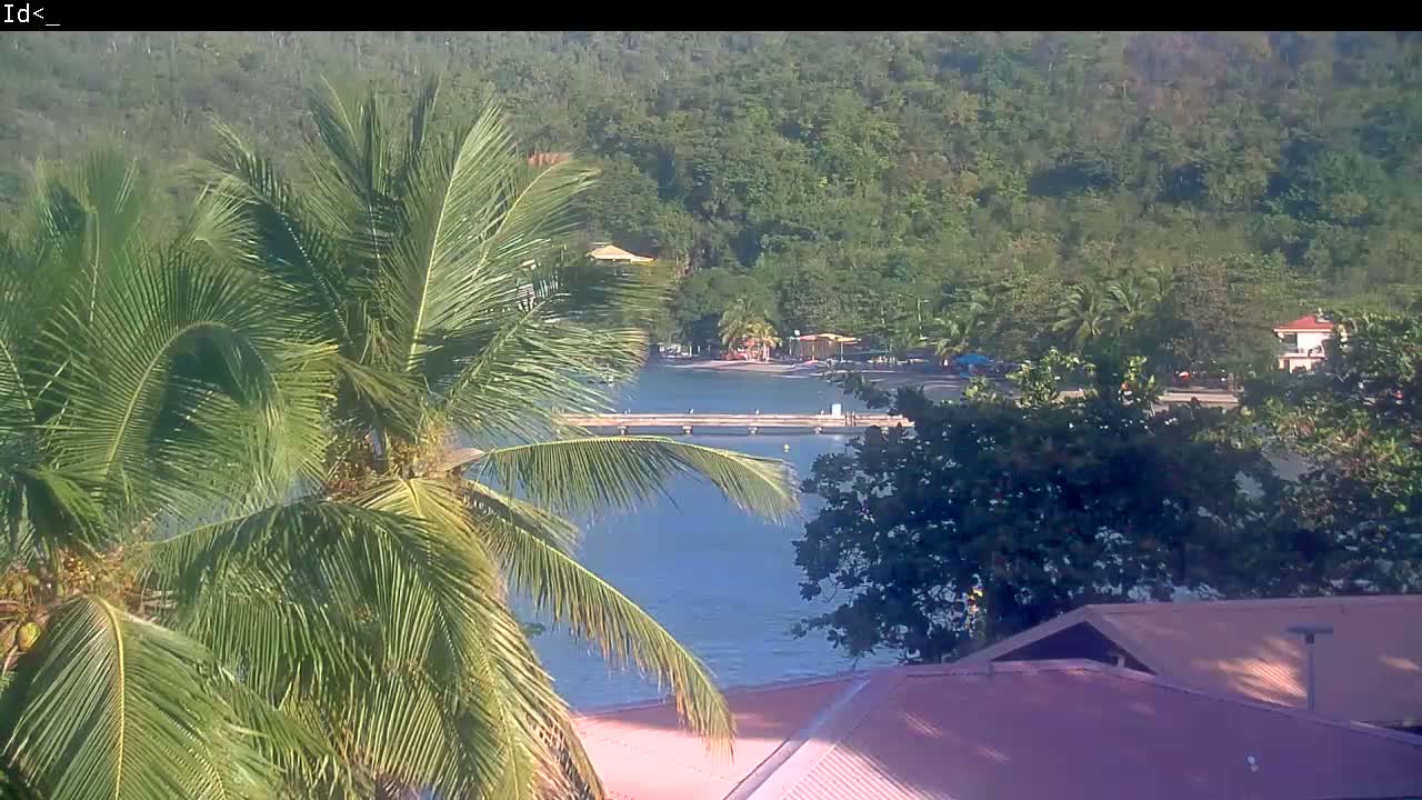 A tranquil beach scene is visible from behind a palm tree, overlooking a calm body of water with a pier and lush green hills in the background under sunny skies.