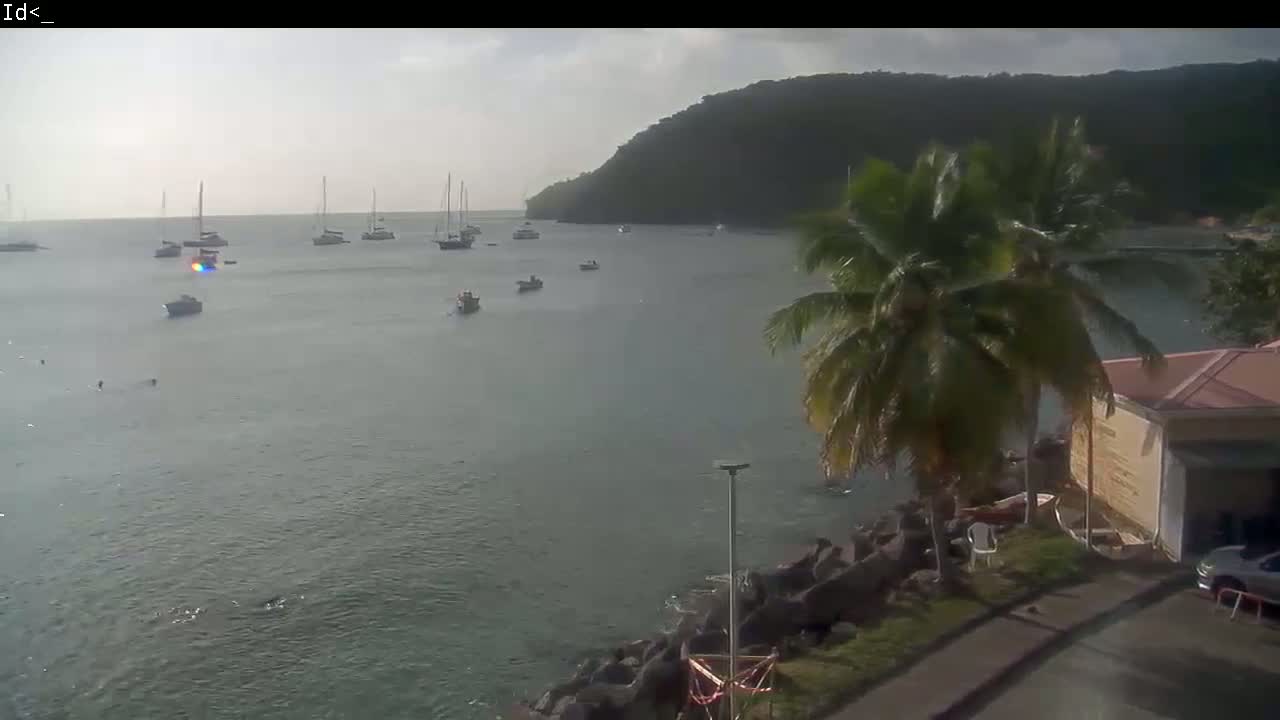 Several sailboats and motorboats are anchored in a calm bay, near a palm tree-lined shore under an overcast sky.