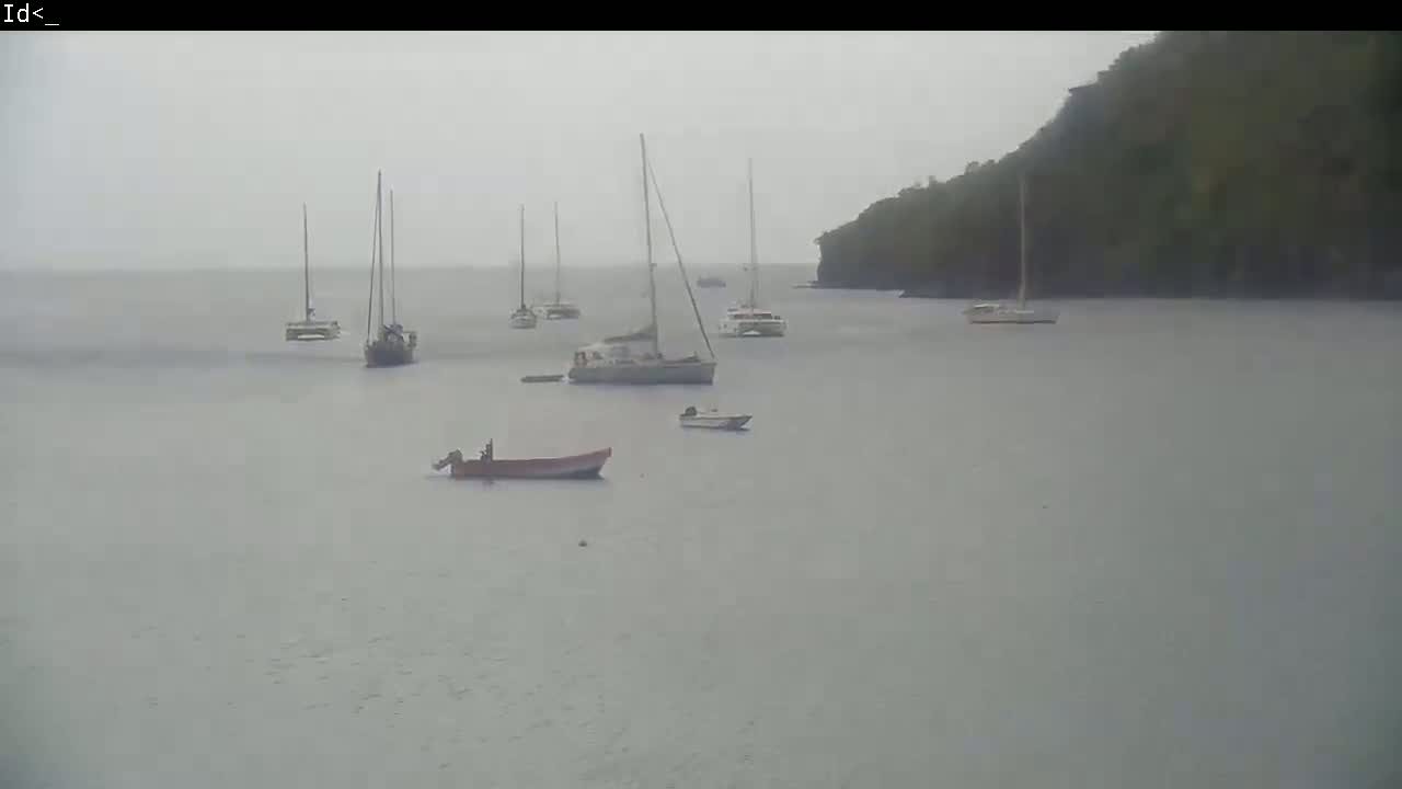 Several sailboats and small motorboats are anchored in calm, gray water near a verdant, hilly shoreline under an overcast sky.