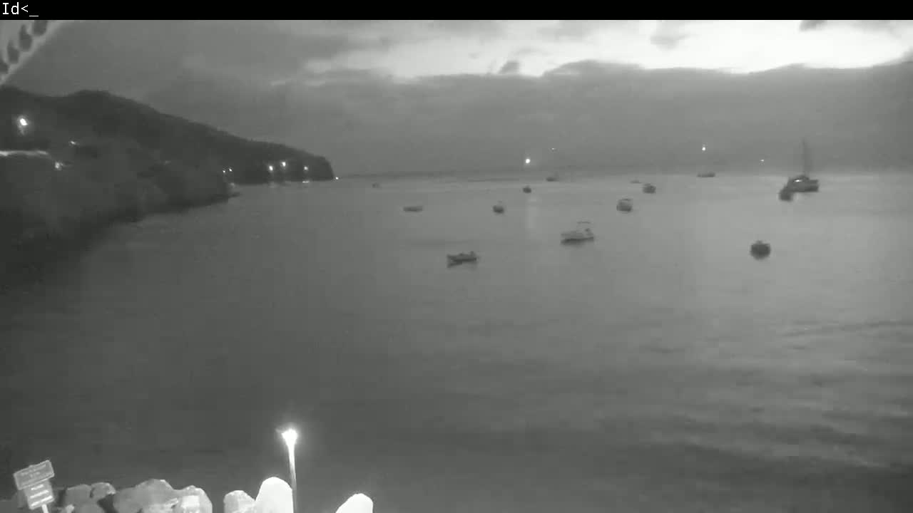 Several boats are moored in a calm body of water at dusk, near a dark shoreline.