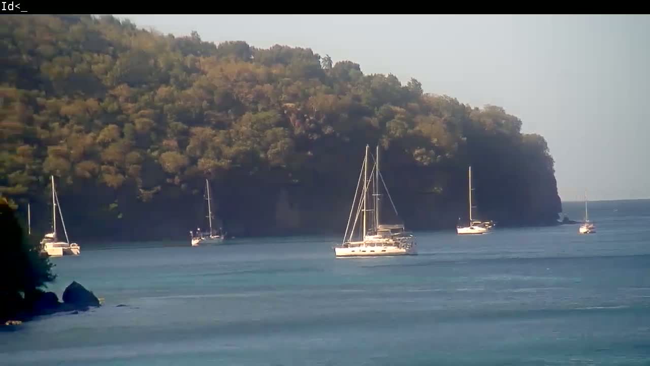 Several sailboats are anchored in calm water near a dark, tree-covered cliff on a sunny day.