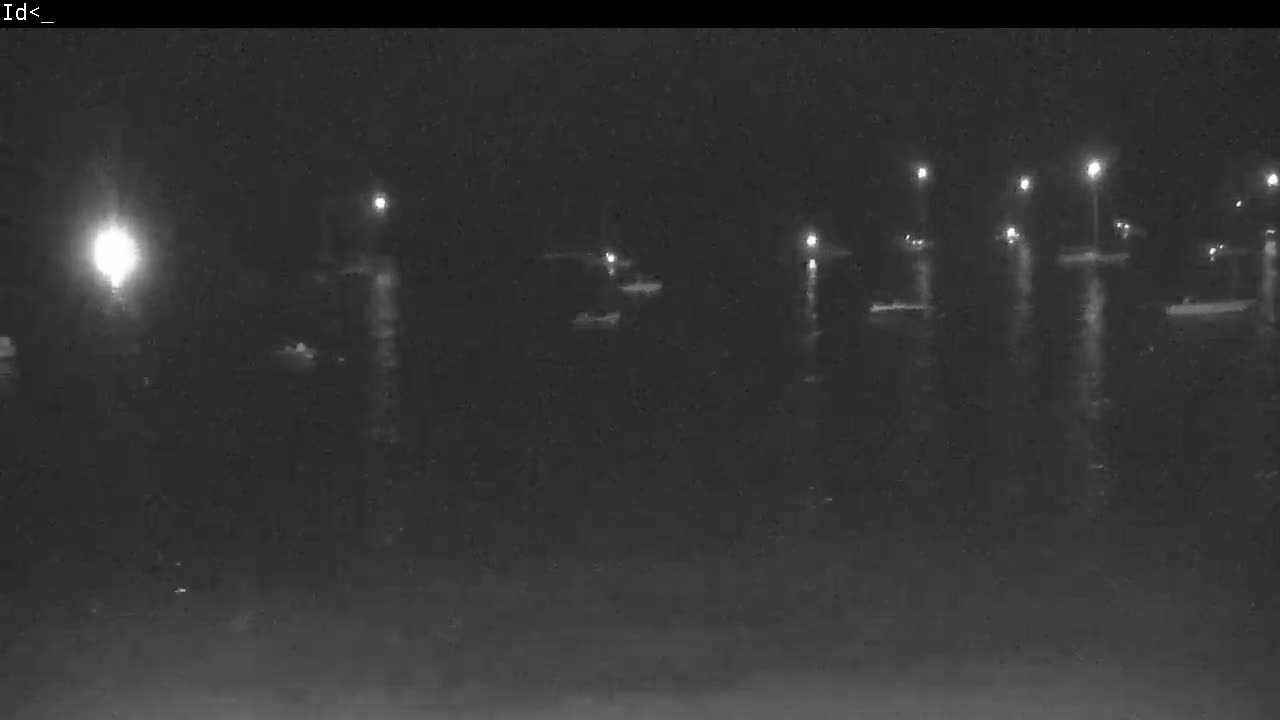 Several boats are moored in dark water at night, illuminated by various lights.