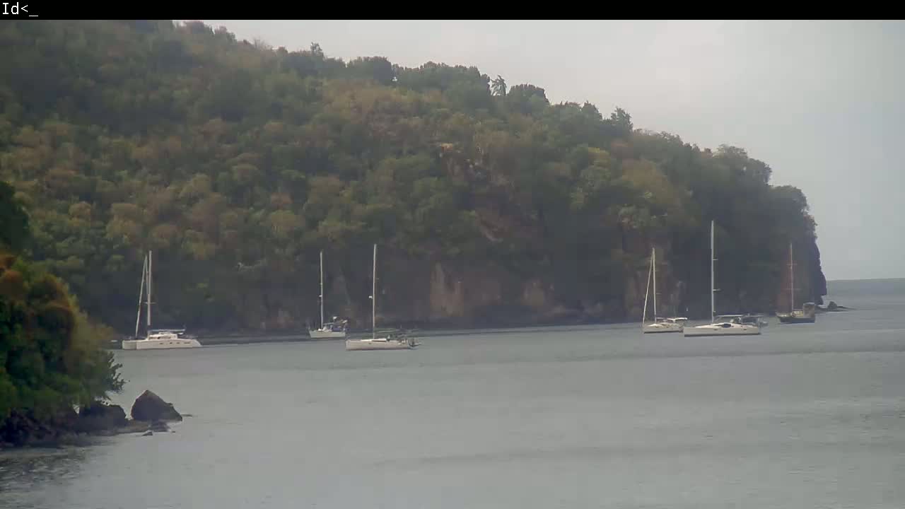 Several sailboats are anchored in calm, gray water near a lush, green hillside on an overcast day.