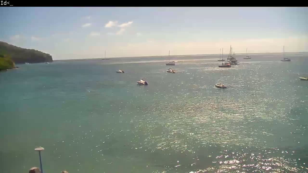 Several boats and yachts are anchored in a calm, sunny bay near a dark green, rocky shoreline.