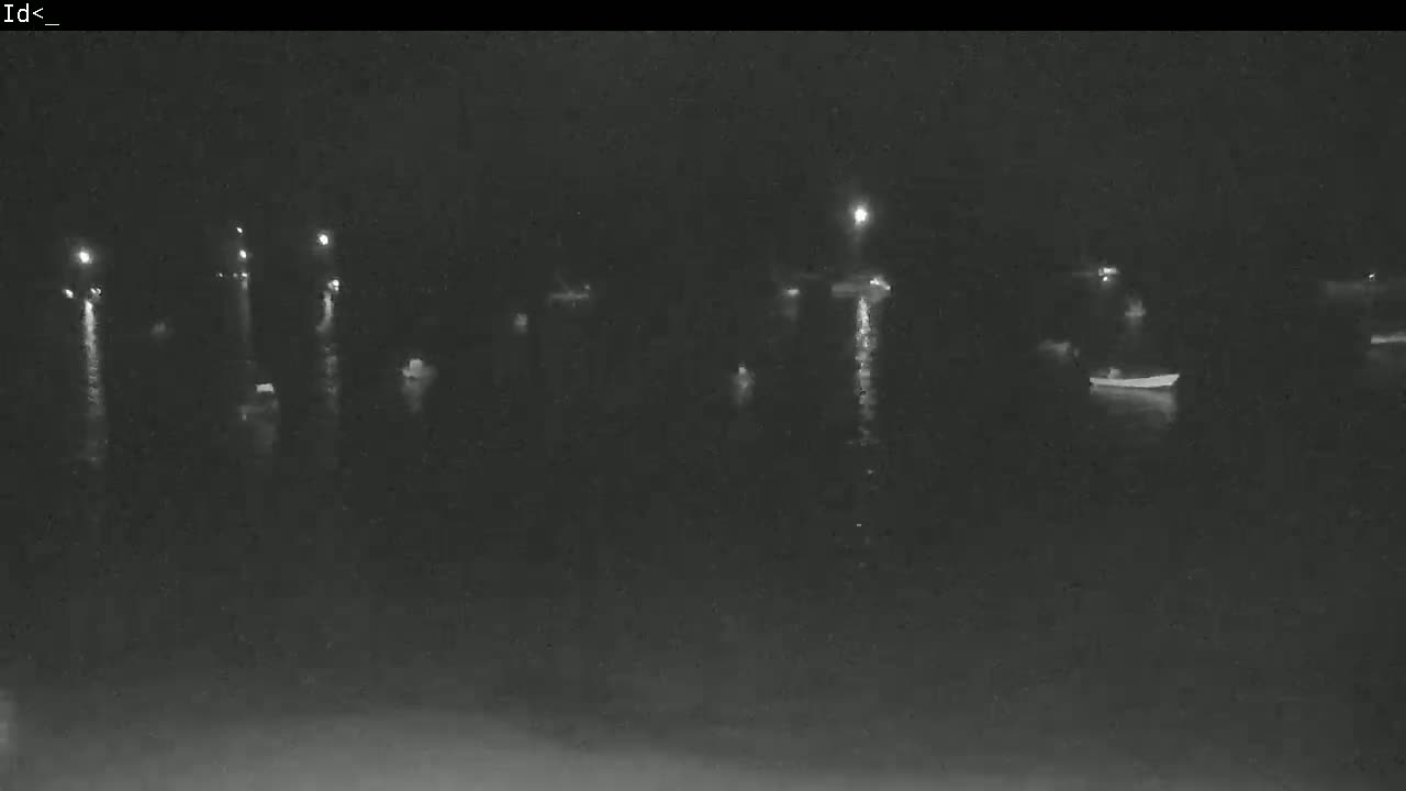 Several boats are moored in a dark body of water at night, illuminated by faint lights from the boats and shore.