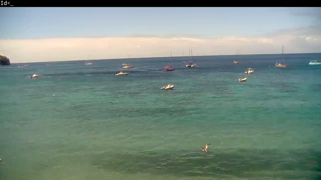 A bird flies over a calm, teal ocean where several small boats and sailboats are scattered.