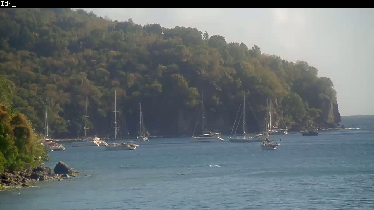 Several sailboats are anchored in calm water near a lush, green hillside on a hazy day.