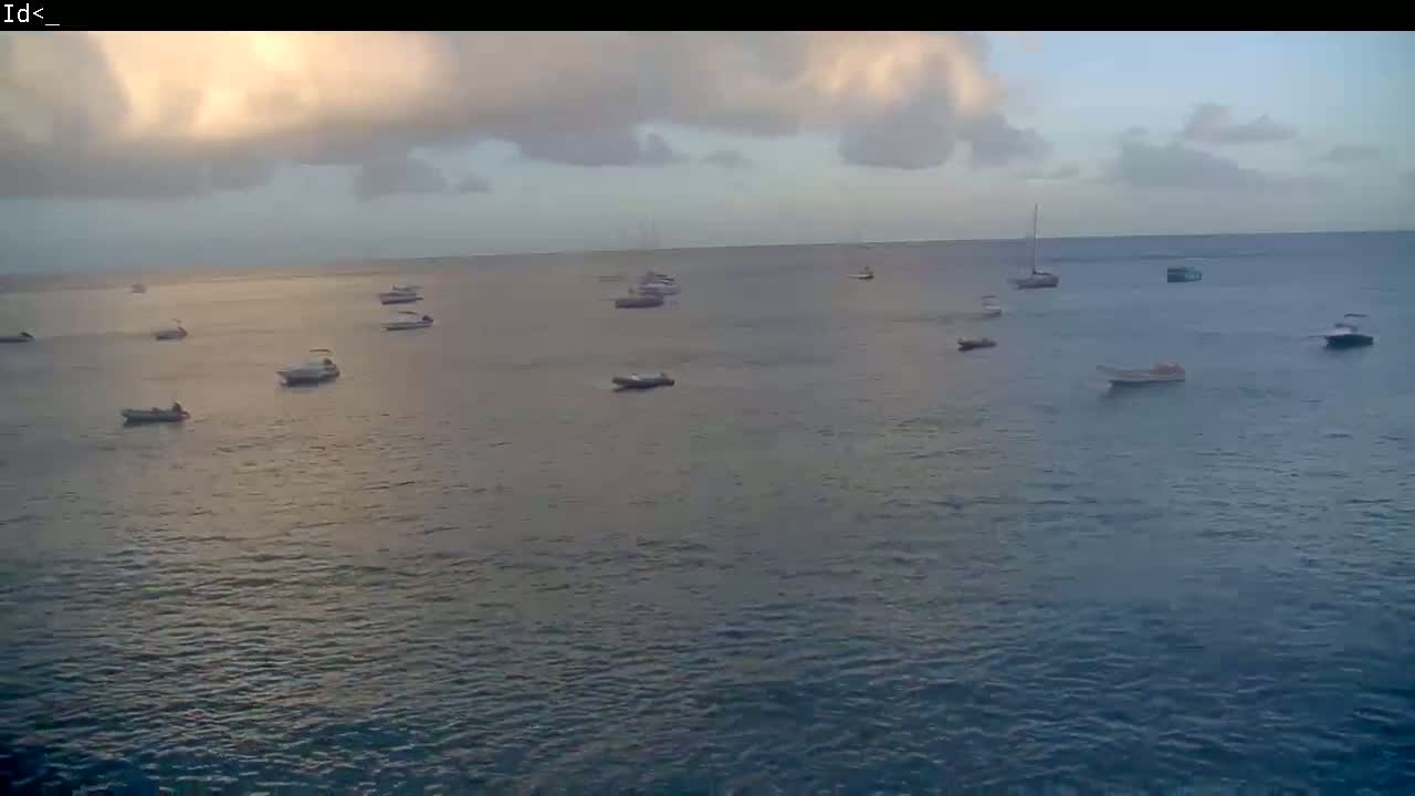Numerous small boats and sailboats are scattered across a calm body of water under a partly cloudy sky.