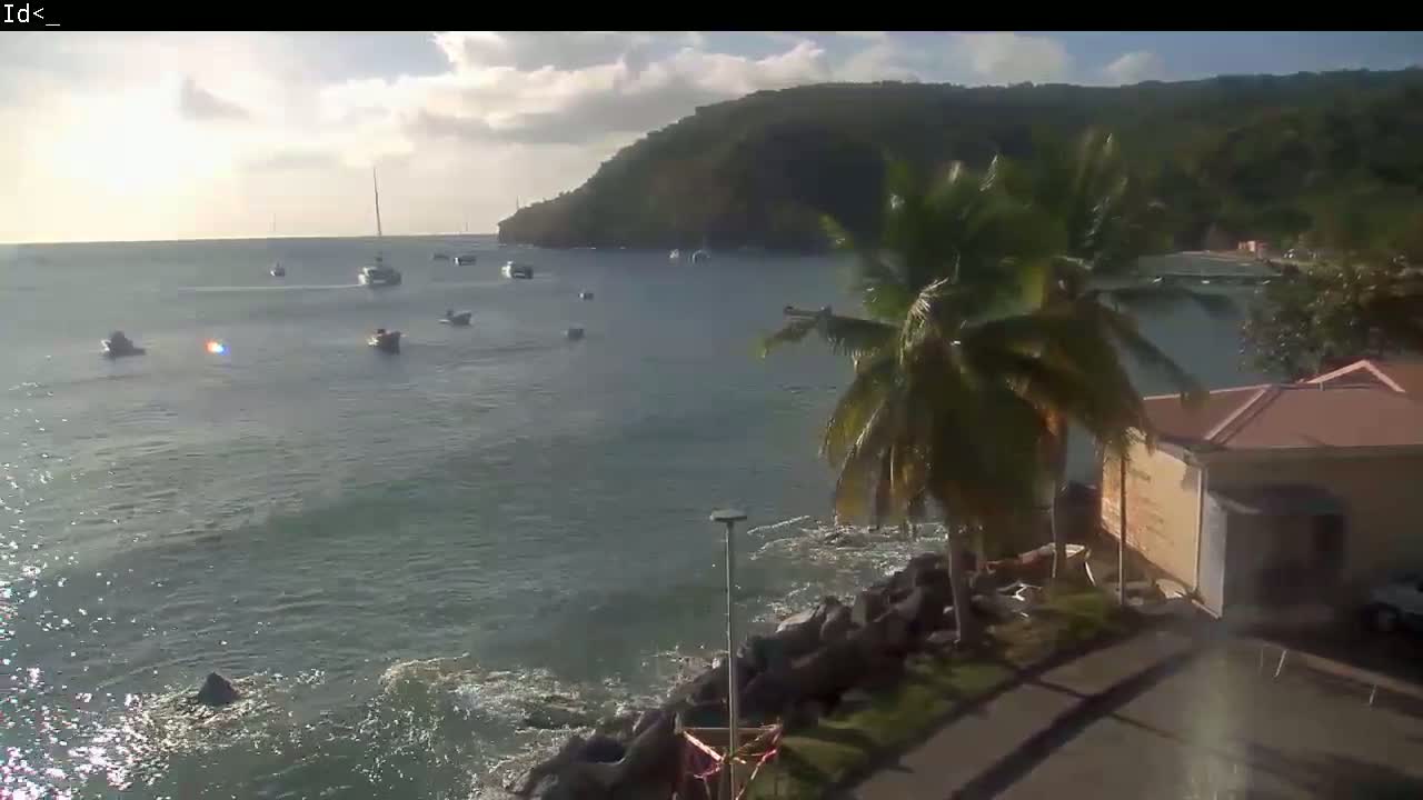 A partly cloudy day shows several boats on a calm body of water near a rocky shoreline with palm trees and buildings under a partly cloudy sky.