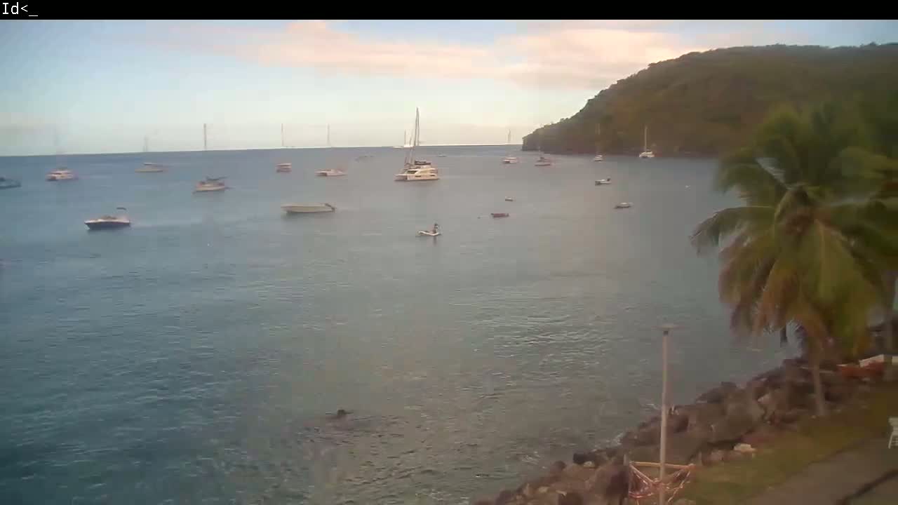 A calm bay with numerous boats and sailboats, under a mostly cloudy sky, is partially bordered by a rocky shoreline with palm trees.