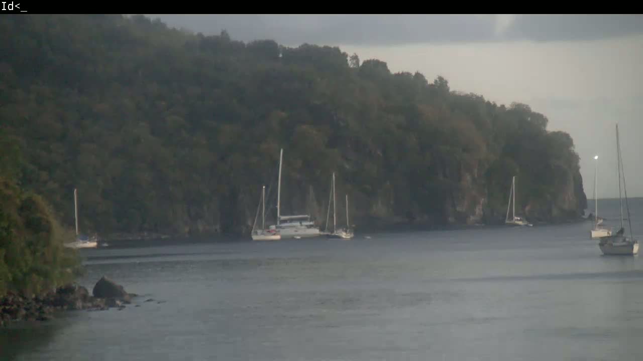 Several sailboats are anchored in a calm bay next to a dark, lush, green hillside under an overcast sky.